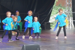 image009